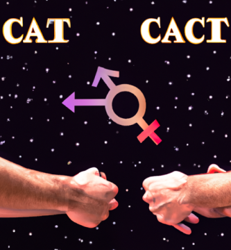 Compatibilidad entre el Hombre Cáncer y el Hombre Sagitario