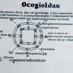 Comprender el Significado del Octograma